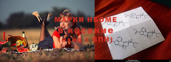 индика Верхнеуральск