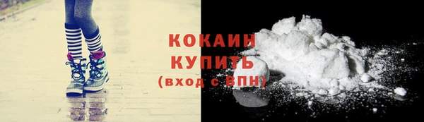 стафф Бородино